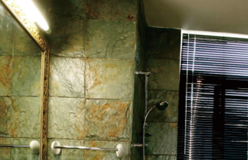 LG05Q LED BATTEN PASSE