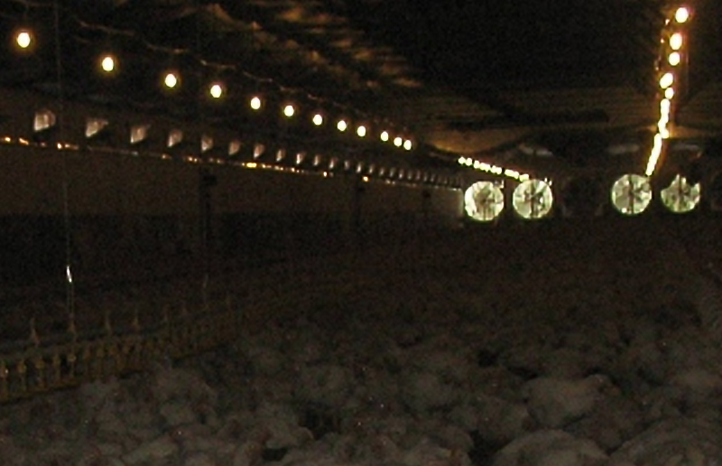 LG08K LED Tri-sikret lys